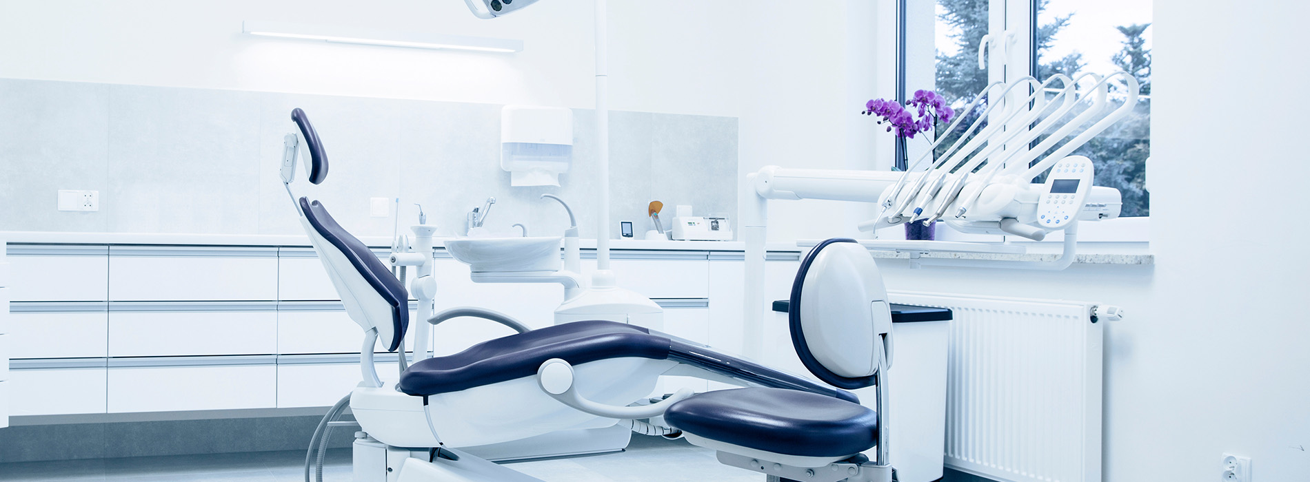 Dental Office in Bayshore